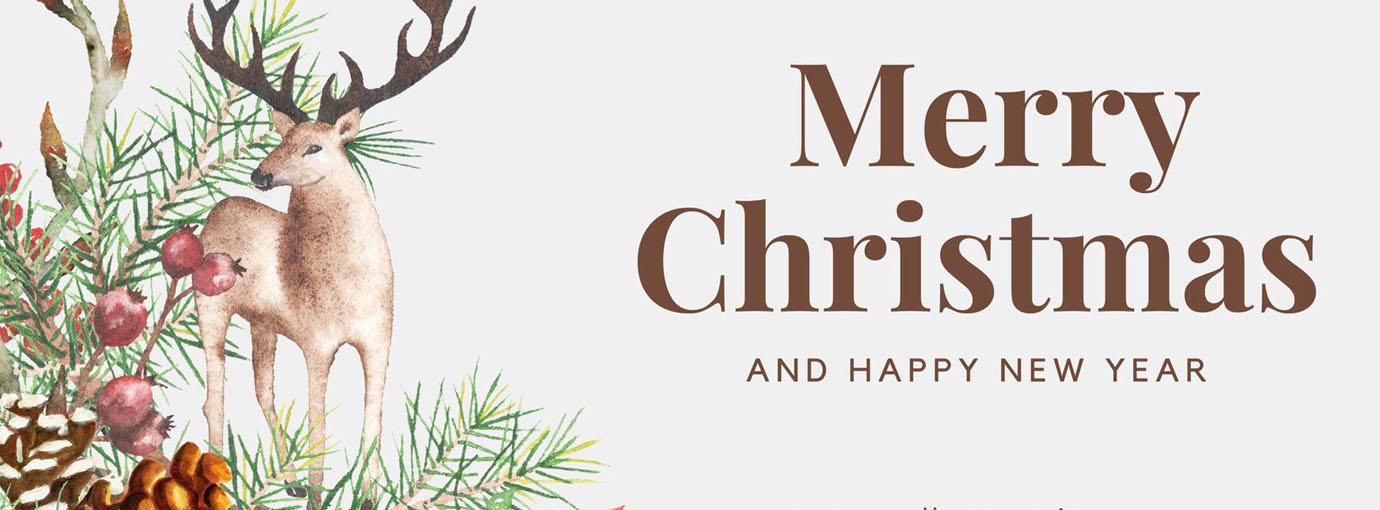 Babyliss Pro -Babyliss Pro 158